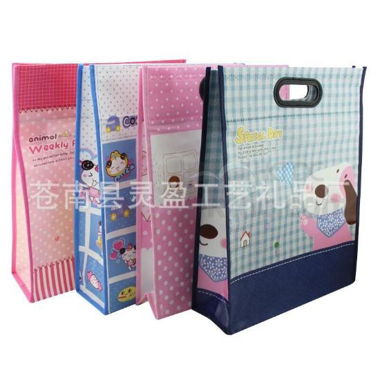 Color Printed flat non woven Recyclable schoolbag with punch hole